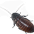 PsychoSeal